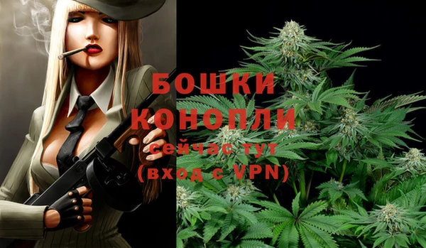 меф Каменск-Шахтинский