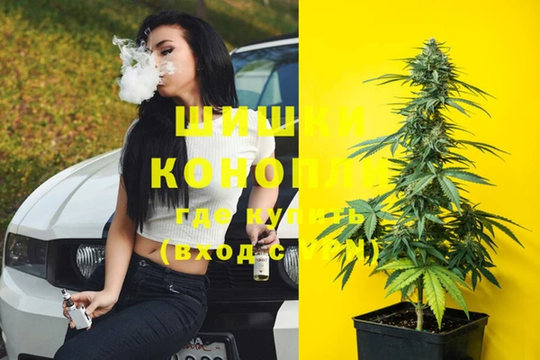 экстази Каменка