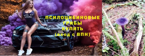 экстази Каменка