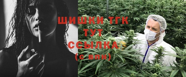 экстази Каменка