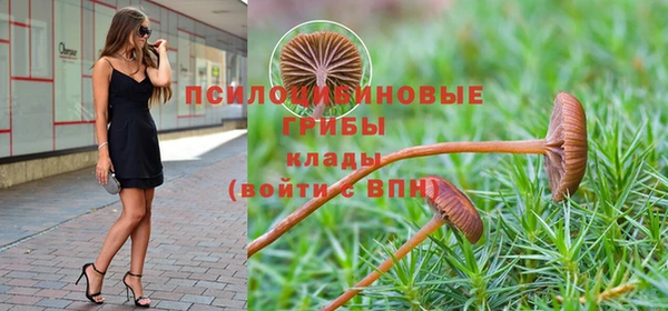 дистиллят марихуана Каменногорск