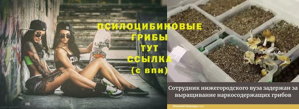 a pvp Хадыженск