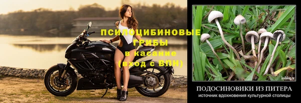 меф Каменск-Шахтинский