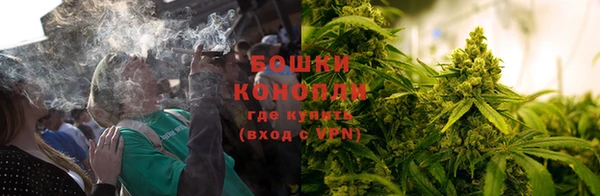дмт Инсар