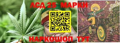 индика Шахты