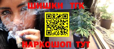 индика Шахты