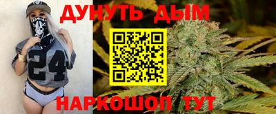 индика Шахты