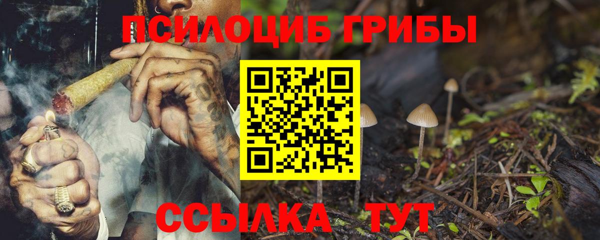 Серов  Псилоцибиновые грибы Magic Shrooms  Вход с VPN  Псилоцибиновые грибы ЛСД 