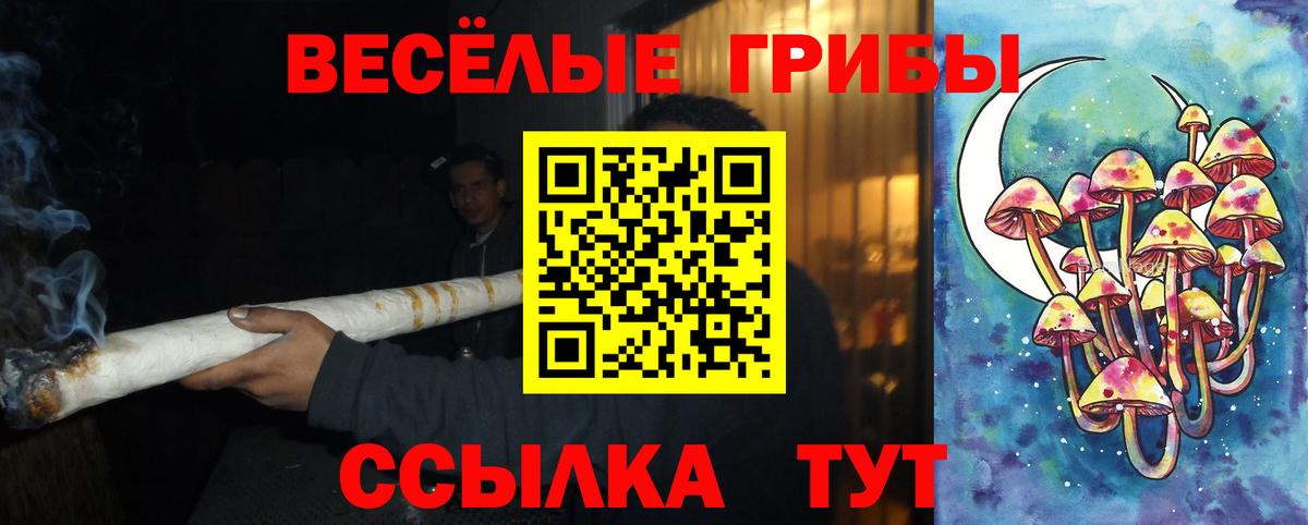 Псилоцибиновые грибы Psilocybe Серов